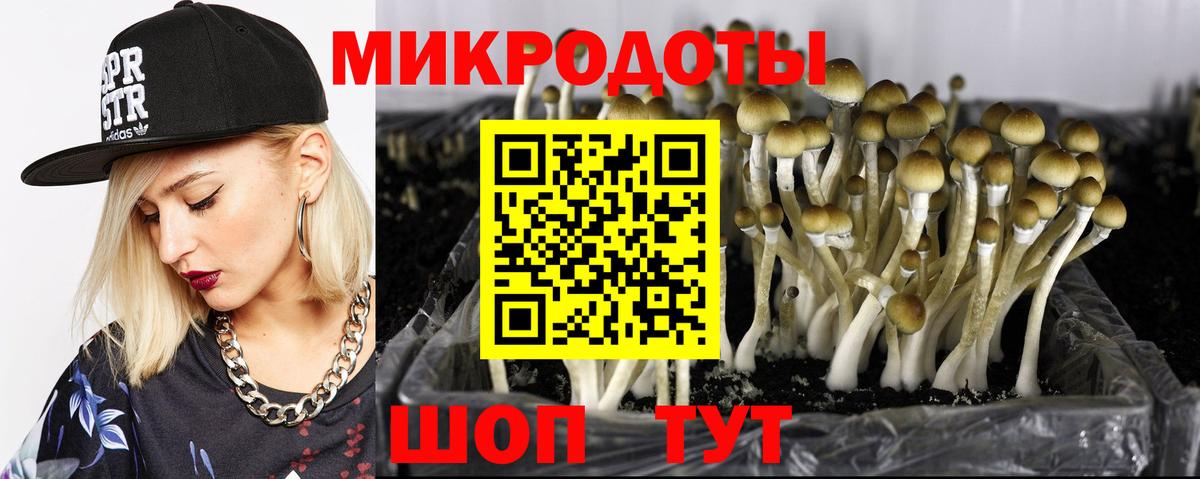 Галлюциногенные грибы прущие грибы Ейск